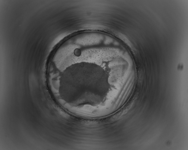 X0000101151071200807181328