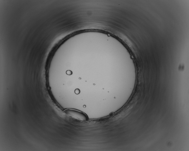 X0000101151072200807181328