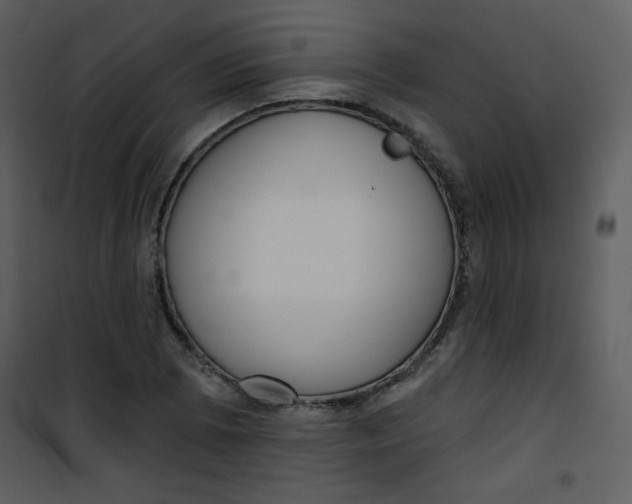 X0000101151073200807181328