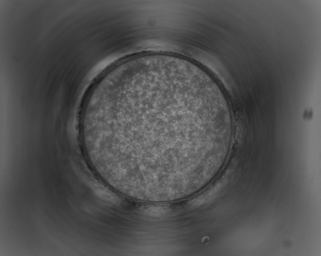 X0000101151074200807181328