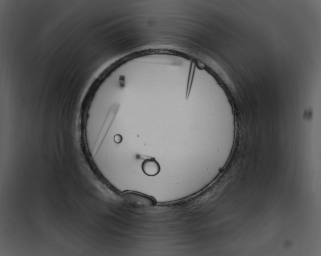 X0000101151076200807181328