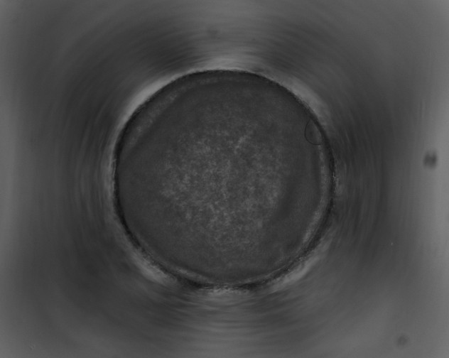 X0000101151077200807181328