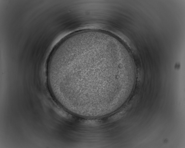 X0000101151078200807181328