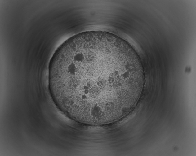 X0000101151079200807181328