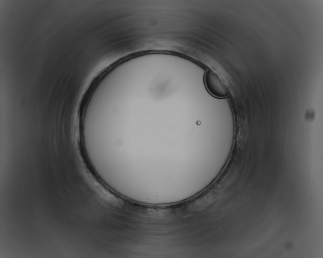 X0000101151080200807181328