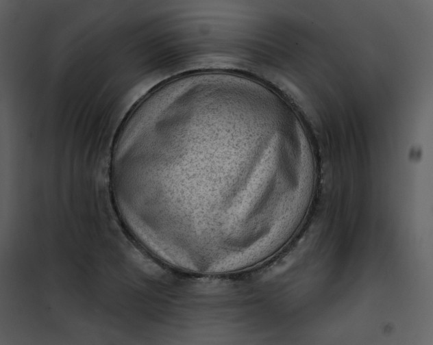 X0000101151081200807181328