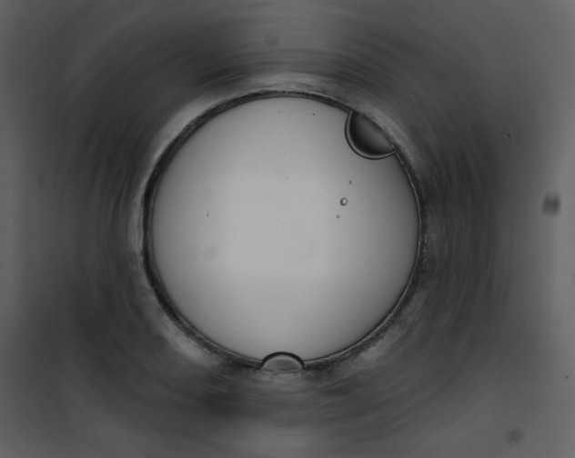 X0000101151082200807181328