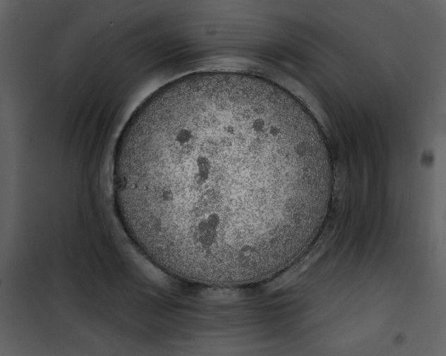 X0000101151083200807181328