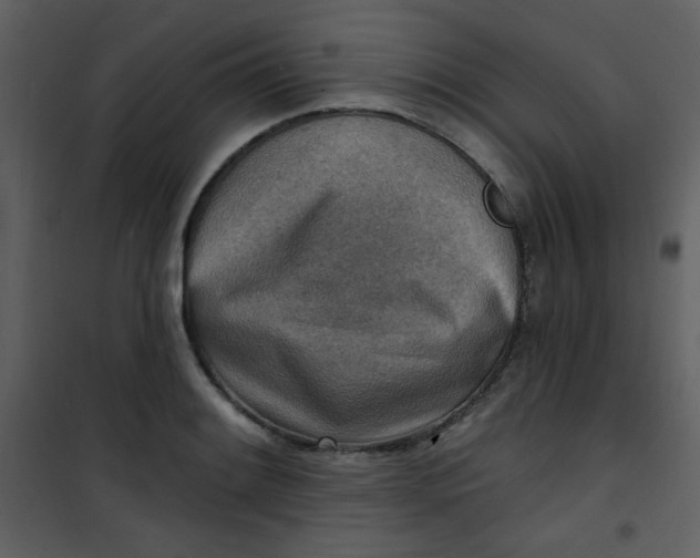 X0000101151084200807181328