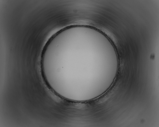 X0000101151085200807181328