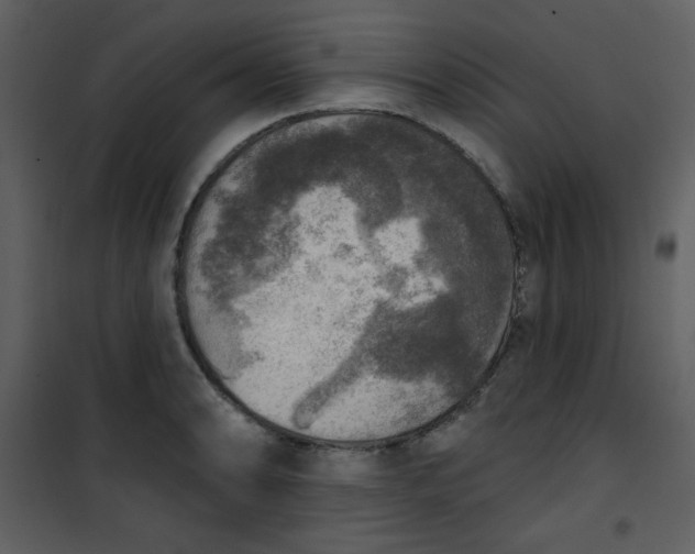 X0000101151086200807181328