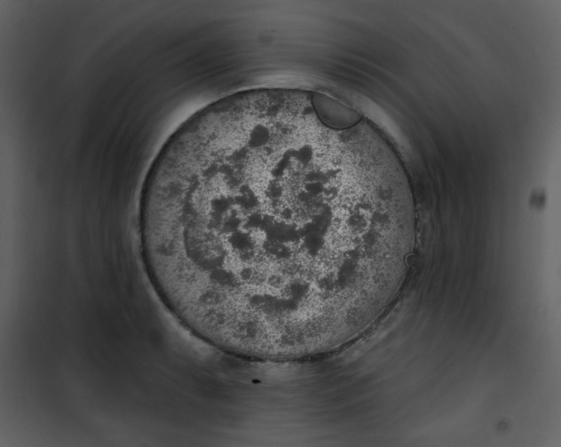 X0000101151087200807181328