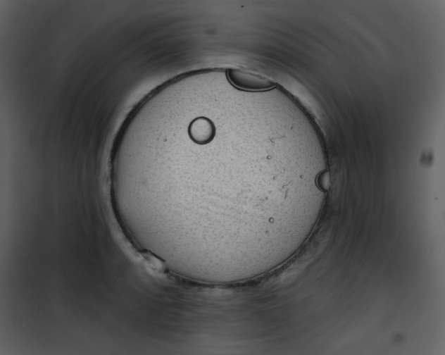 X0000101151088200807181328