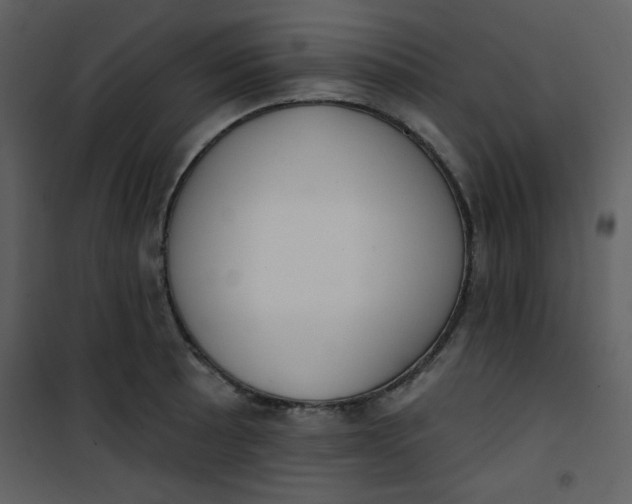 X0000101151089200807181328