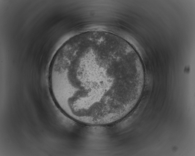 X0000101151090200807181328