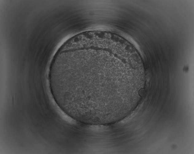 X0000101151091200807181328