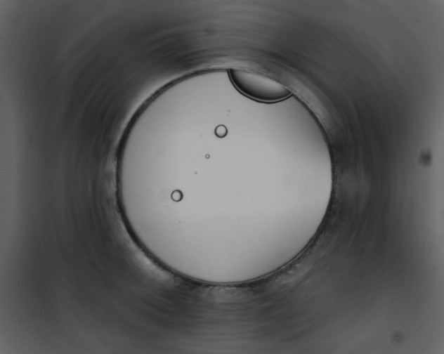 X0000101151092200807181328