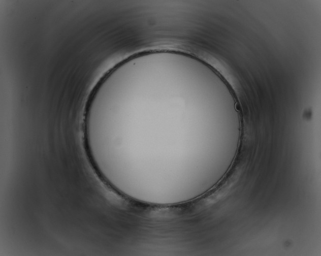 X0000101151093200807181328