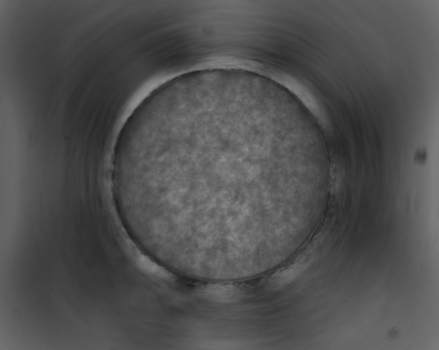 X0000101151094200807181328