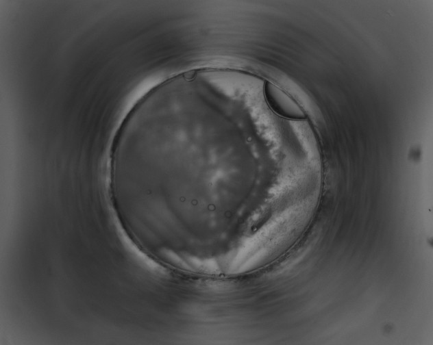 X0000101151095200807181328