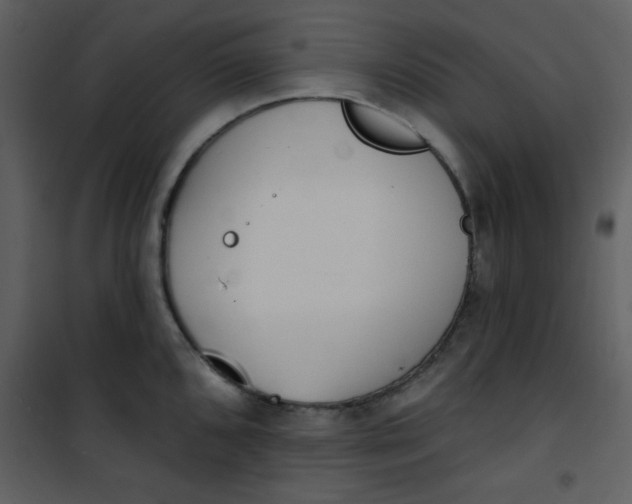 X0000101151096200807181328