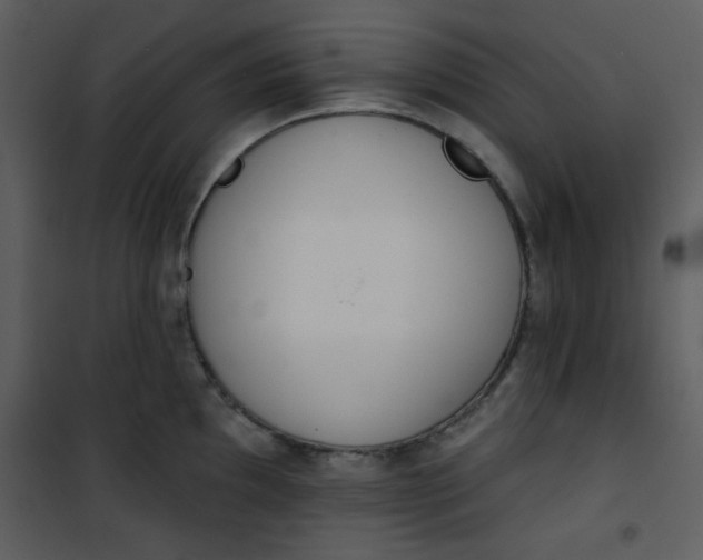 X0000101151097200807181328