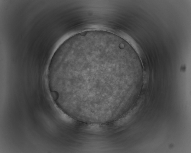 X0000101151098200807181328