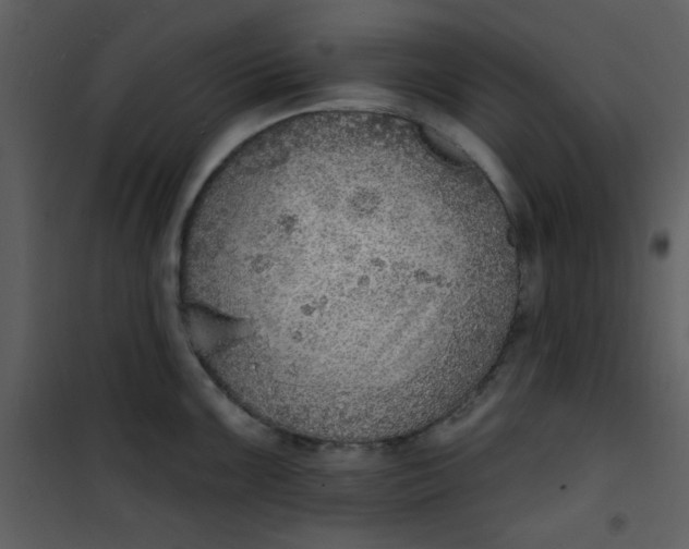 X0000101151099200807181328