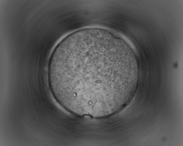 X0000101151100200807181328