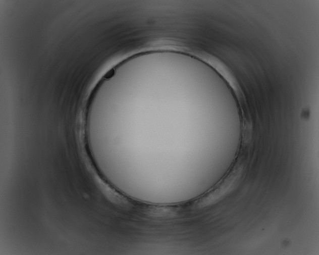 X0000101151101200807181328