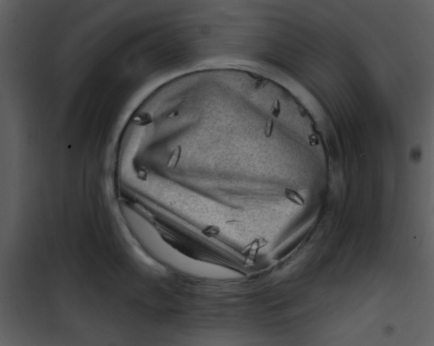 X0000101151102200807181328