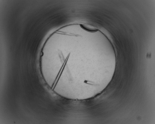 X0000101151104200807181328