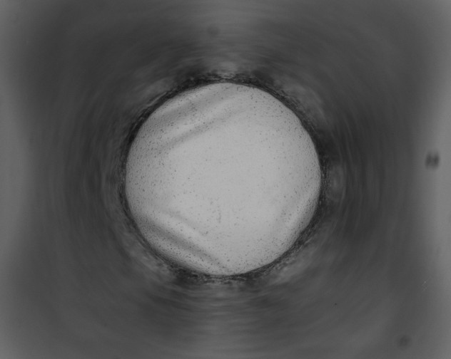 X0000101151105200807181327