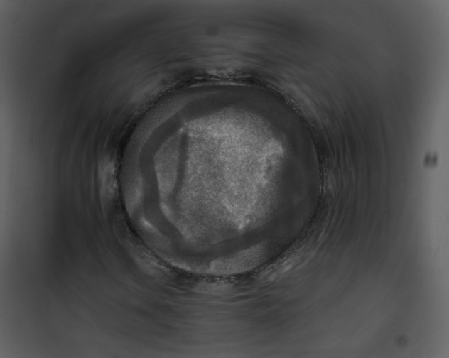 X0000101151106200807181327