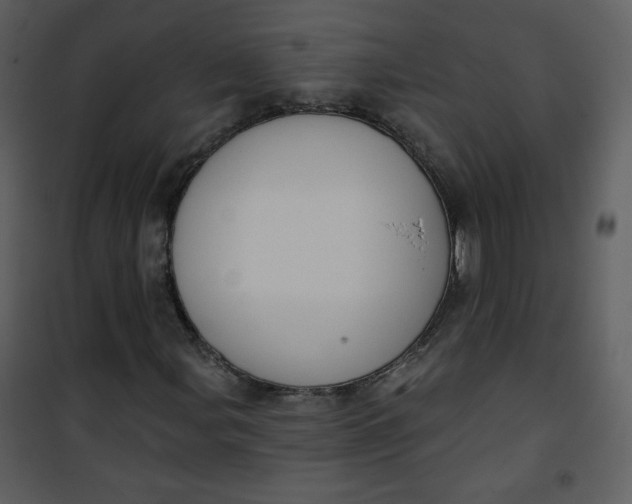 X0000101151107200807181327