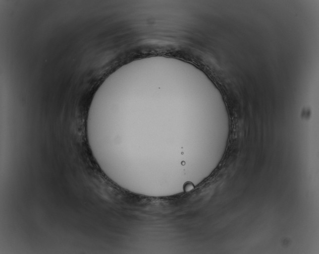 X0000101151109200807181327