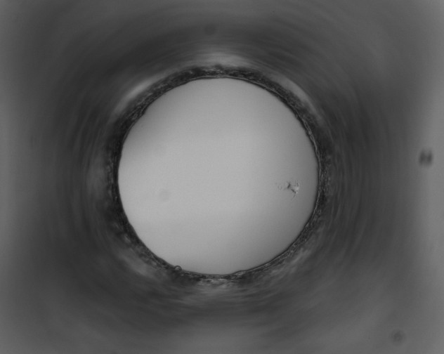 X0000101151112200807181327