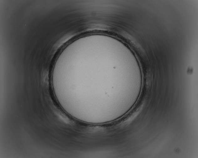 X0000101151113200807181327