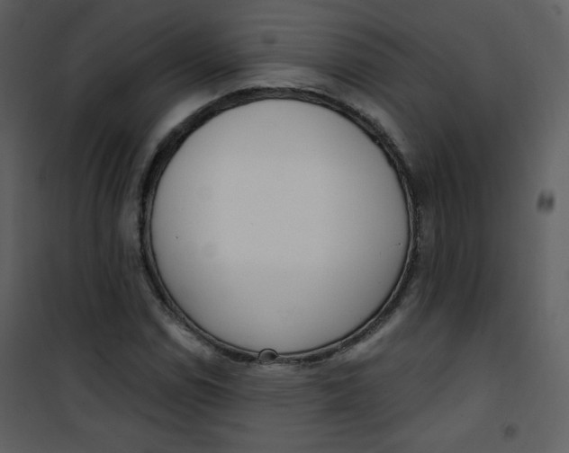 X0000101151114200807181327