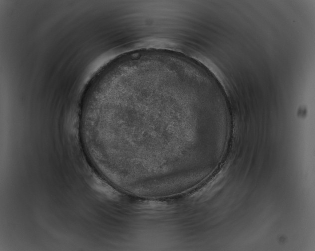 X0000101151115200807181327