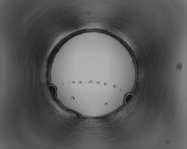 X0000101151116200807181327