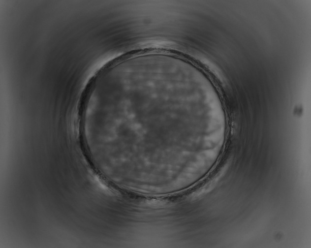 X0000101151117200807181327