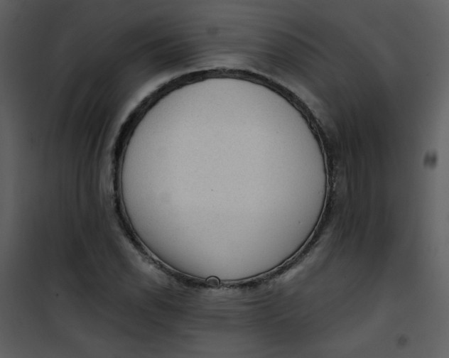 X0000101151118200807181327