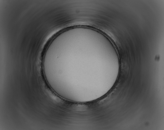 X0000101151119200807181327