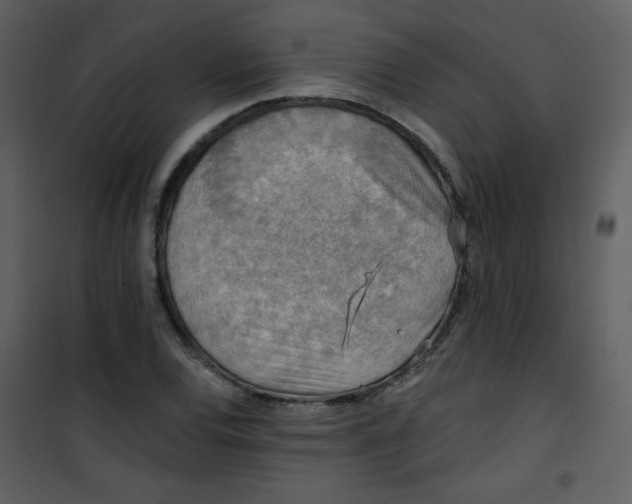 X0000101151120200807181327