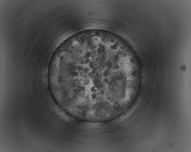 X0000101151121200807181327