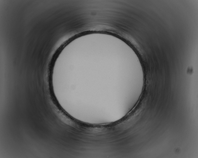 X0000101151122200807181327