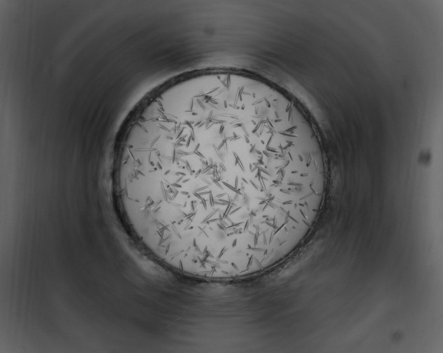 X0000101151124200807181327