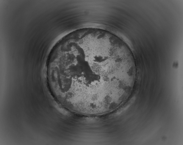 X0000101151125200807181327