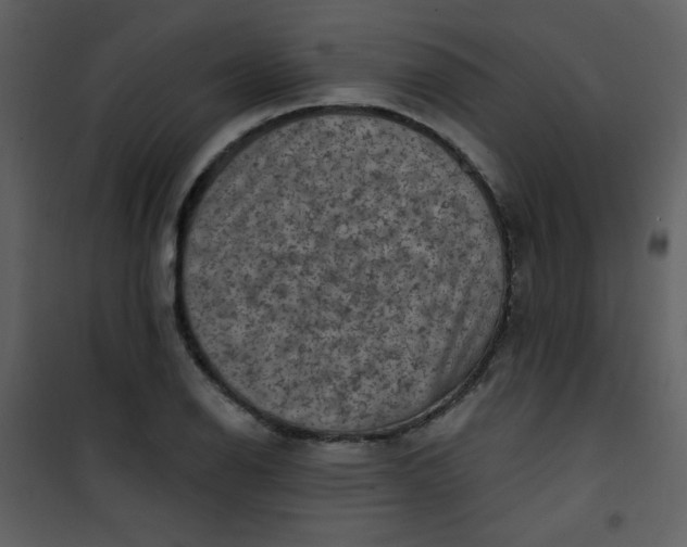 X0000101151126200807181327